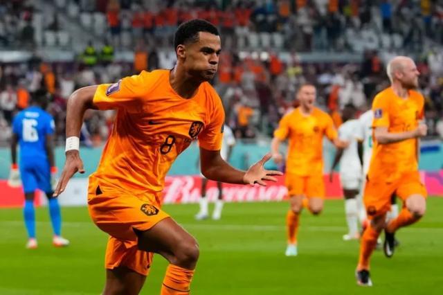 1669061789778082766.jpg 11.jpg